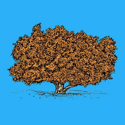 ARGAN TREE Botanical board version POP